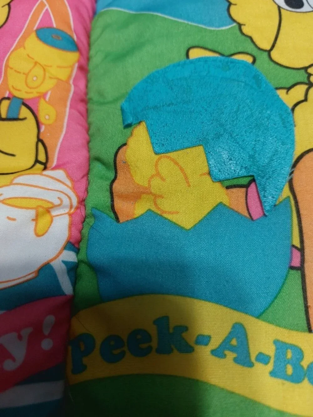 kid dimension sesame street